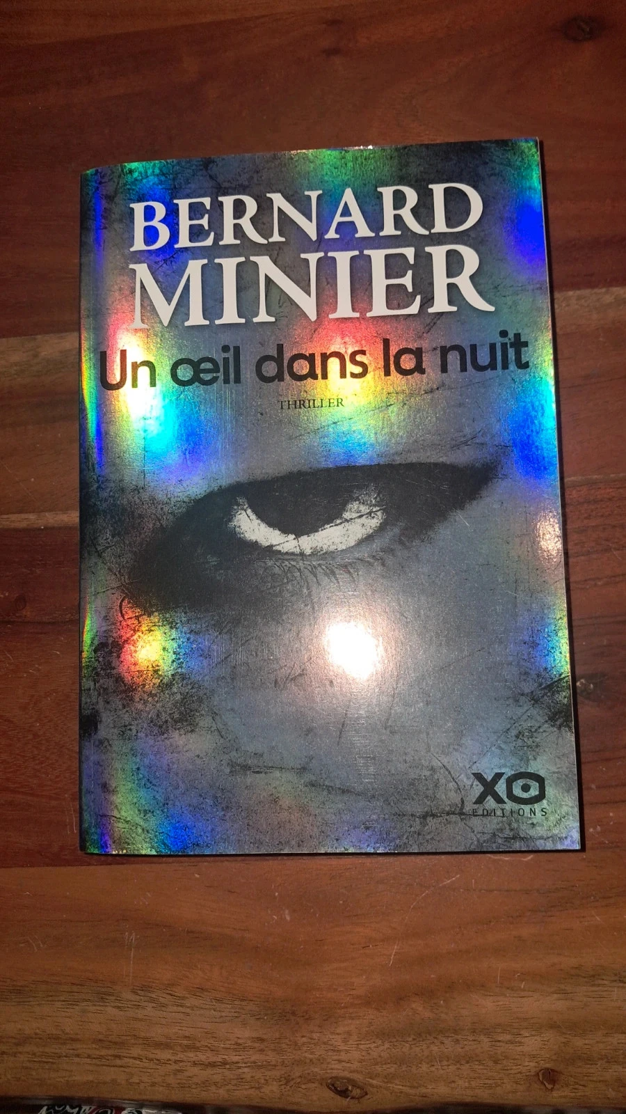 Bernard Minier Un œil dans la nuit